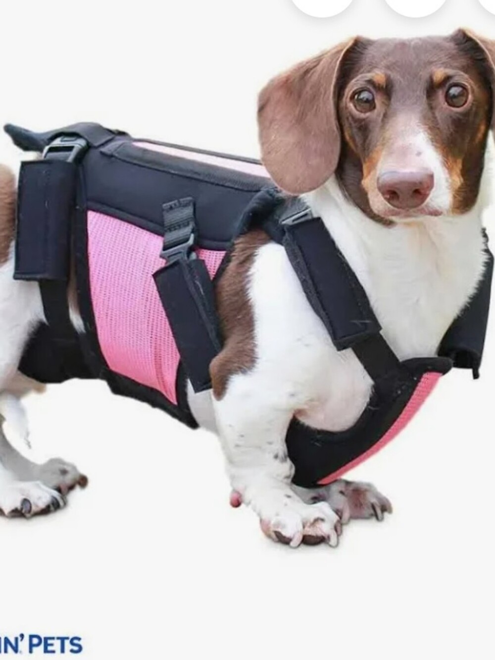 Walkin' PETS VertebraVe Back Support System - Black PINK